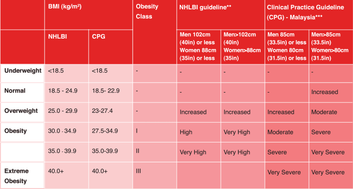Classification of Overweight and Obesity 